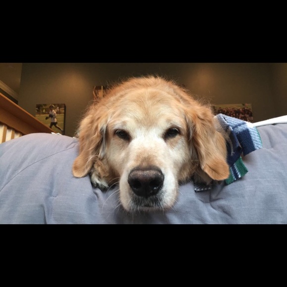 griffinkuhn